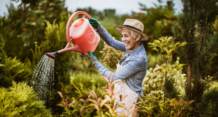 woman watering garden in warm weather