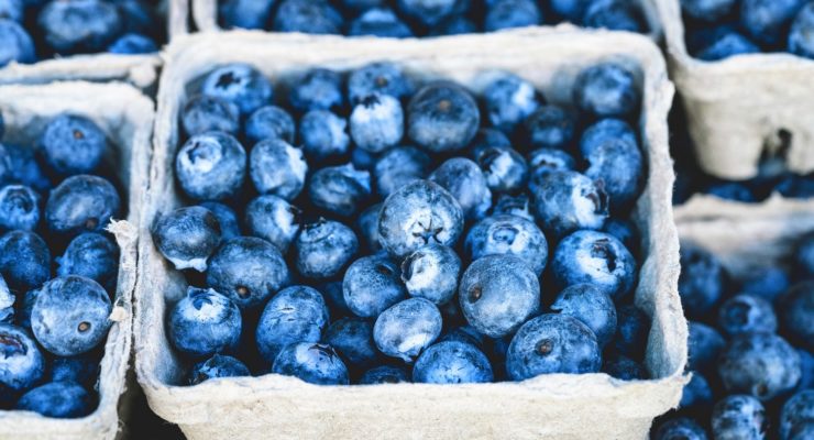 summer Blueberries